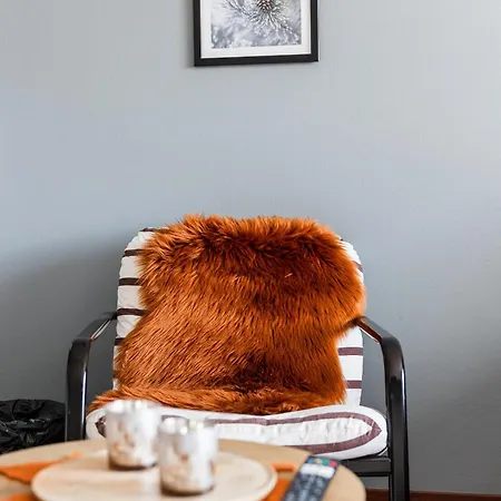 Arctic Foxy Апартаменты Рованиеми